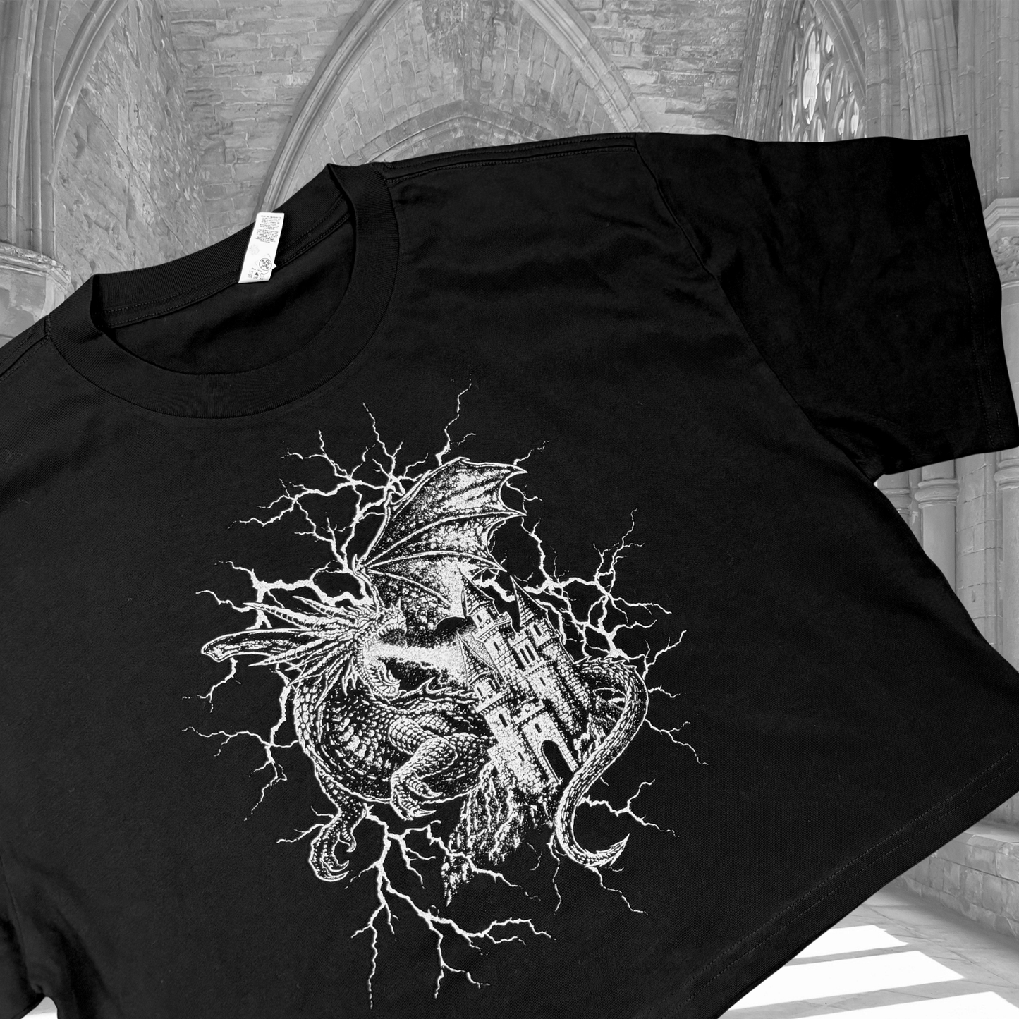 Oopsie Dragon - ASColour MARTINA Crop