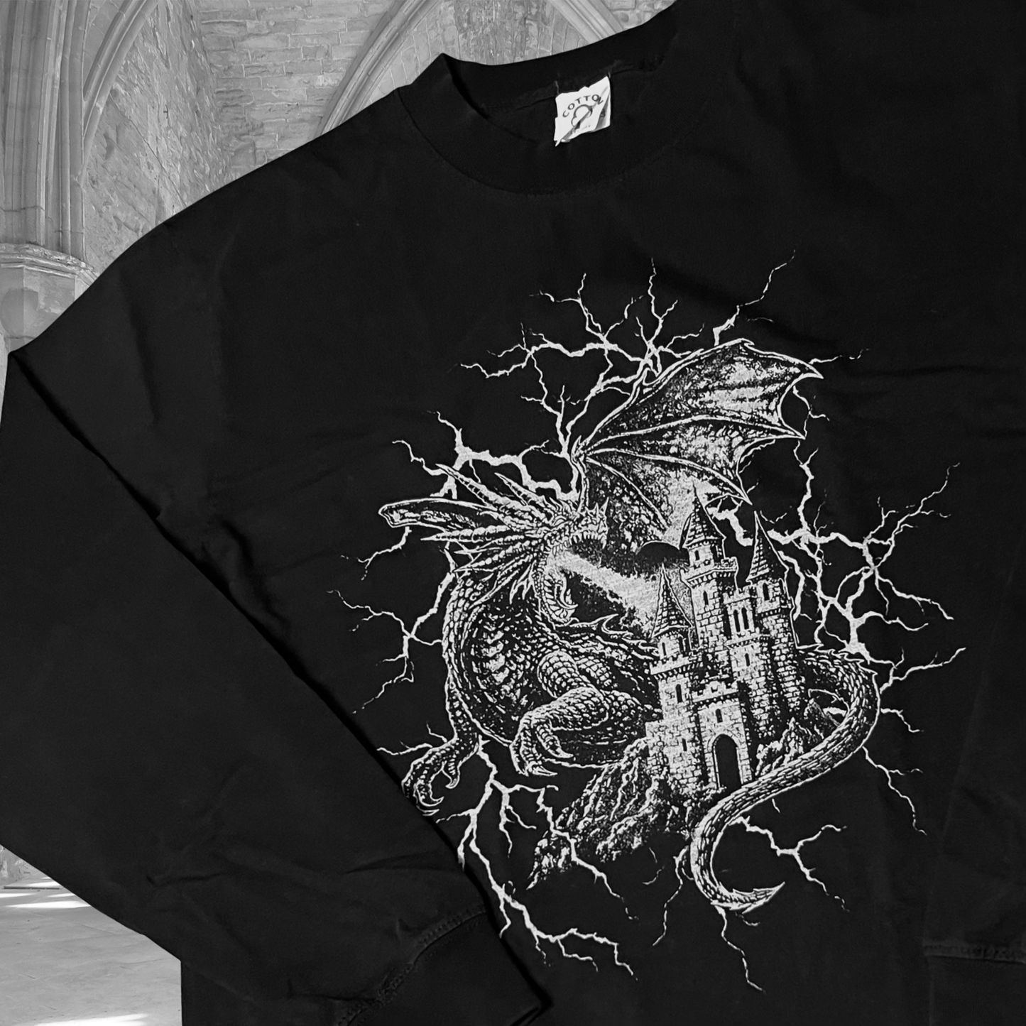 Oopsie Dragon Oversized Long Sleeve