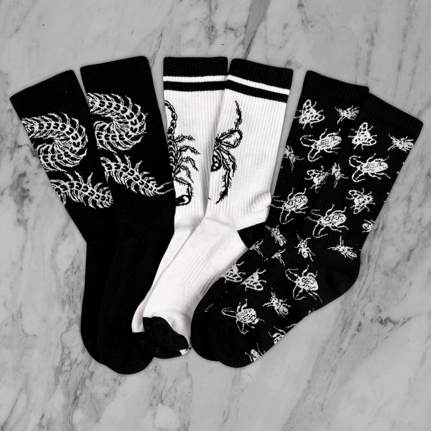 Lil Bugs Socks