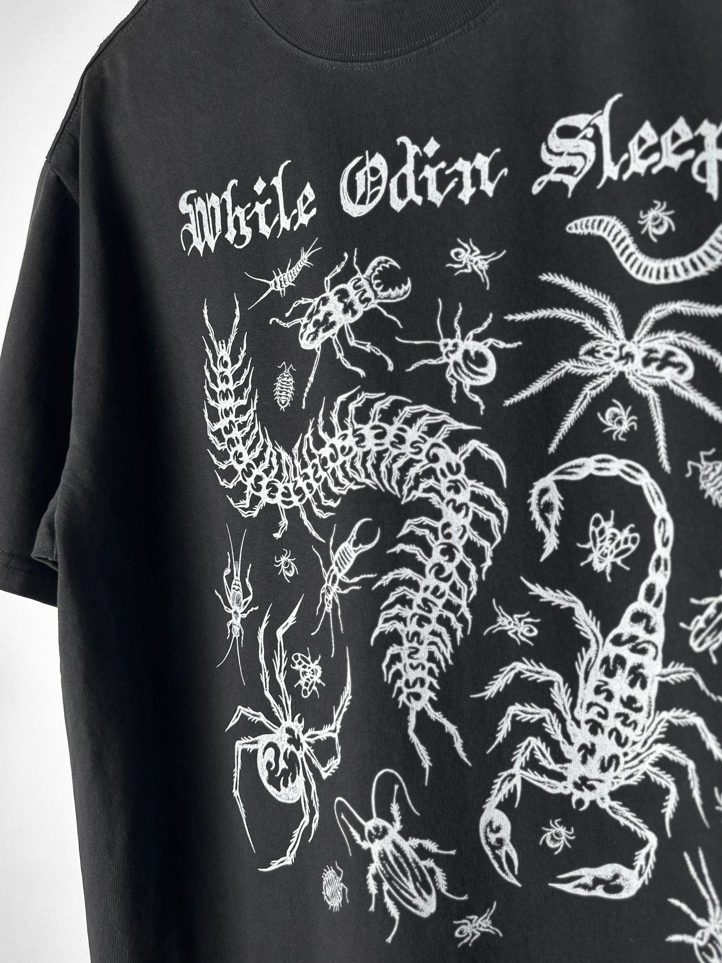 Creepy Crawly Oversized Tee