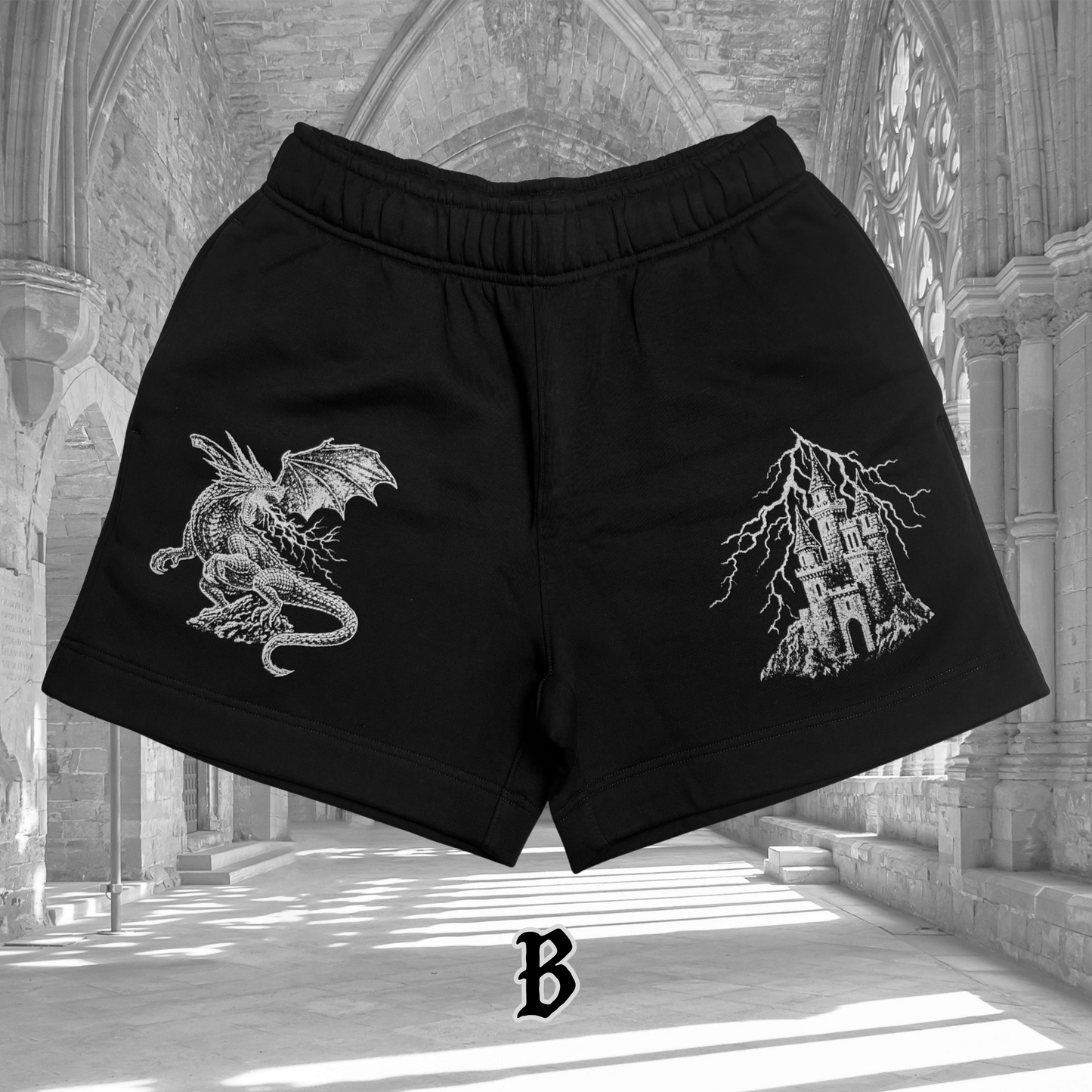 Oopsie Dragon Track Shorts