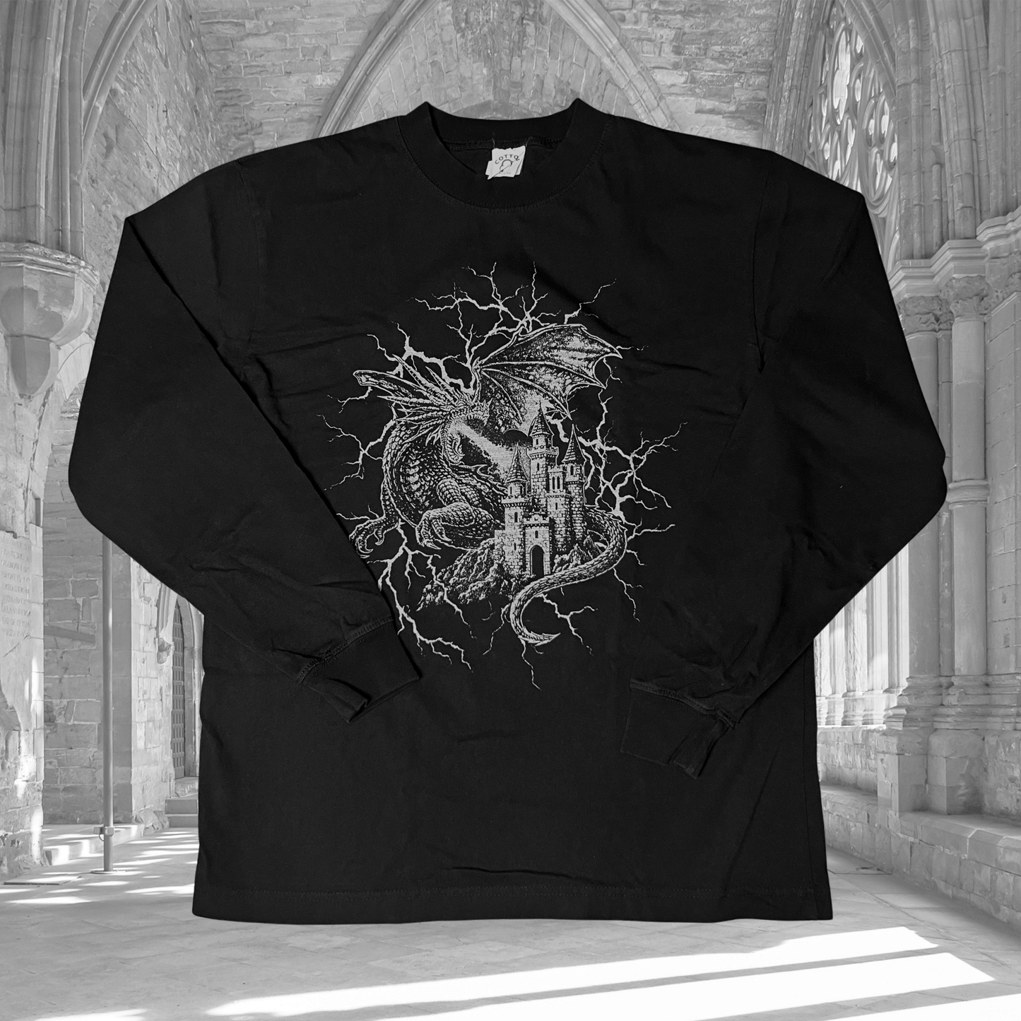 Oopsie Dragon Oversized Long Sleeve