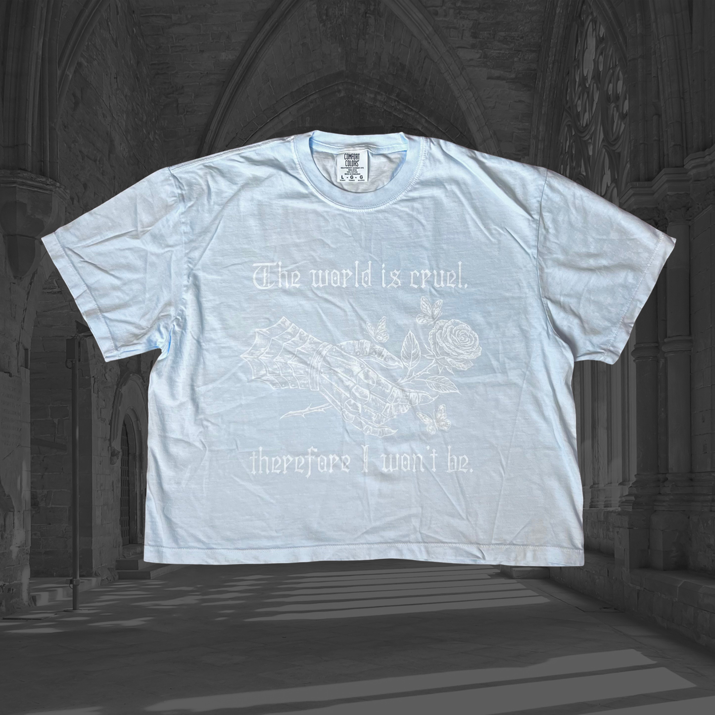 Oopsie Cruel World Light Blue White Print Crop