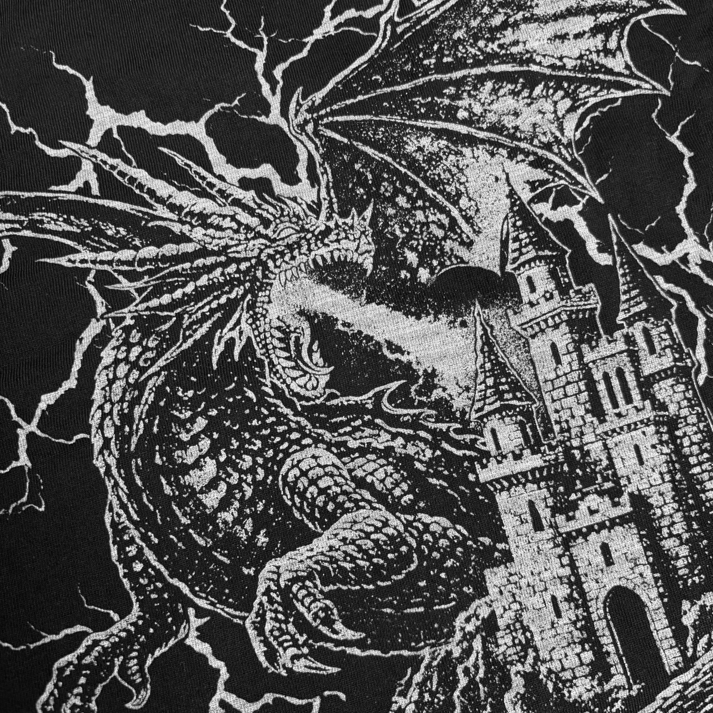 Oopsie Dragon Oversized Long Sleeve
