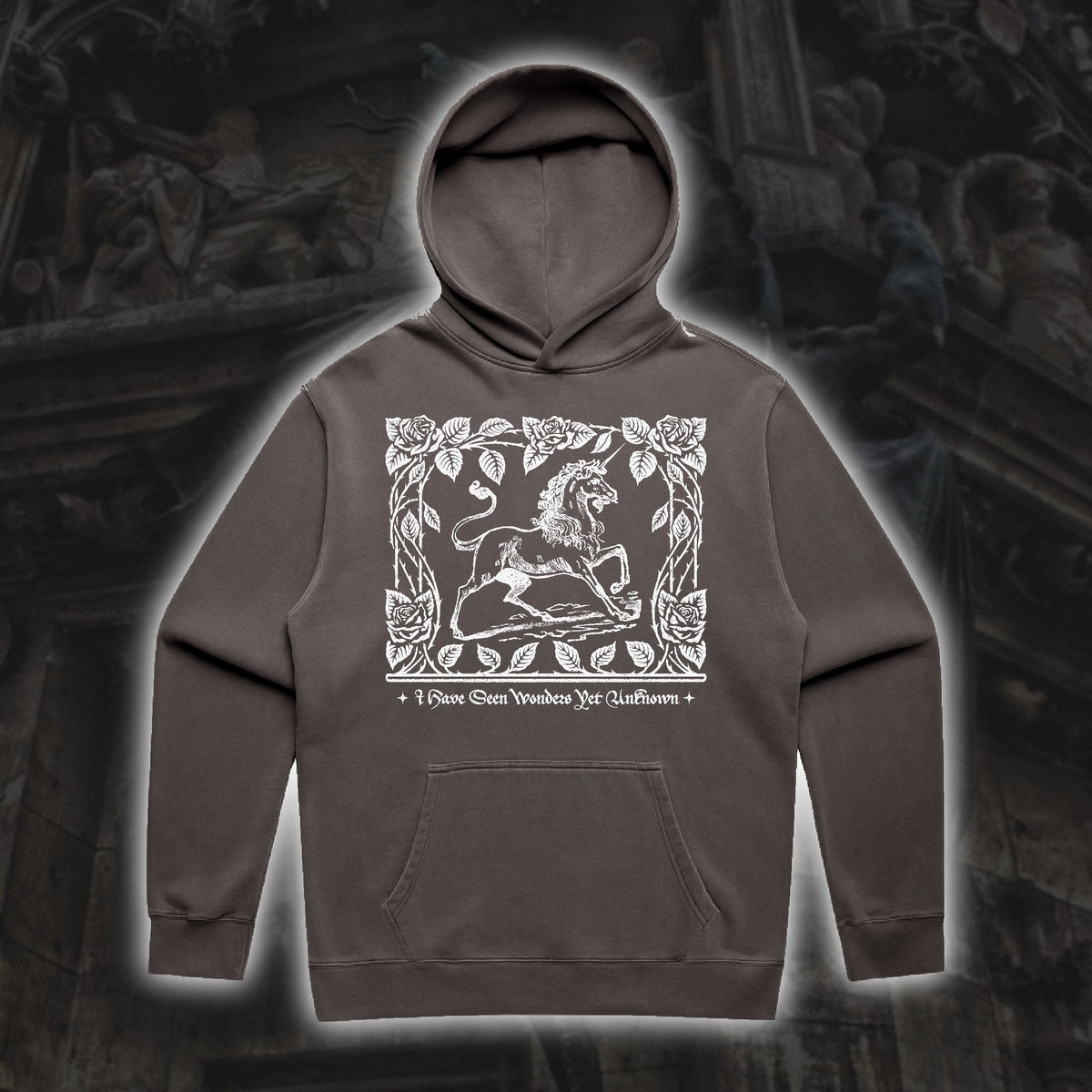 Wonders Unknown Hoodie