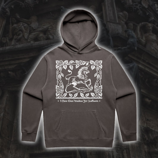 Wonders Unknown Hoodie