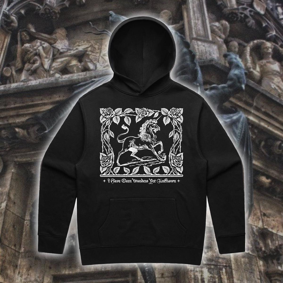 Wonders Unknown Hoodie