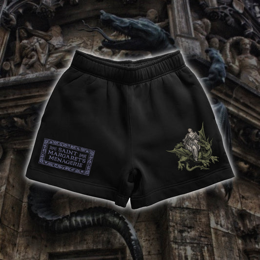 I Tamed a Dragon Track Shorts