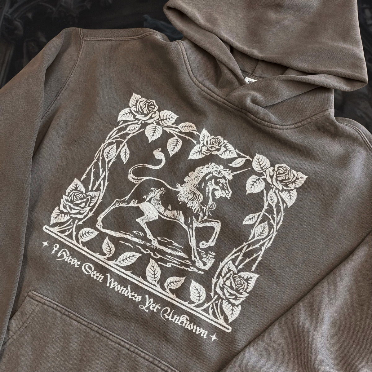 Wonders Unknown Hoodie