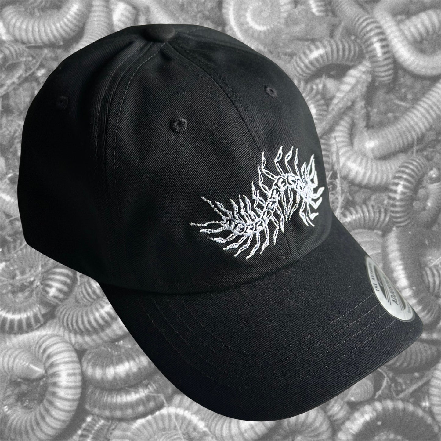 Centipede Dad Hat