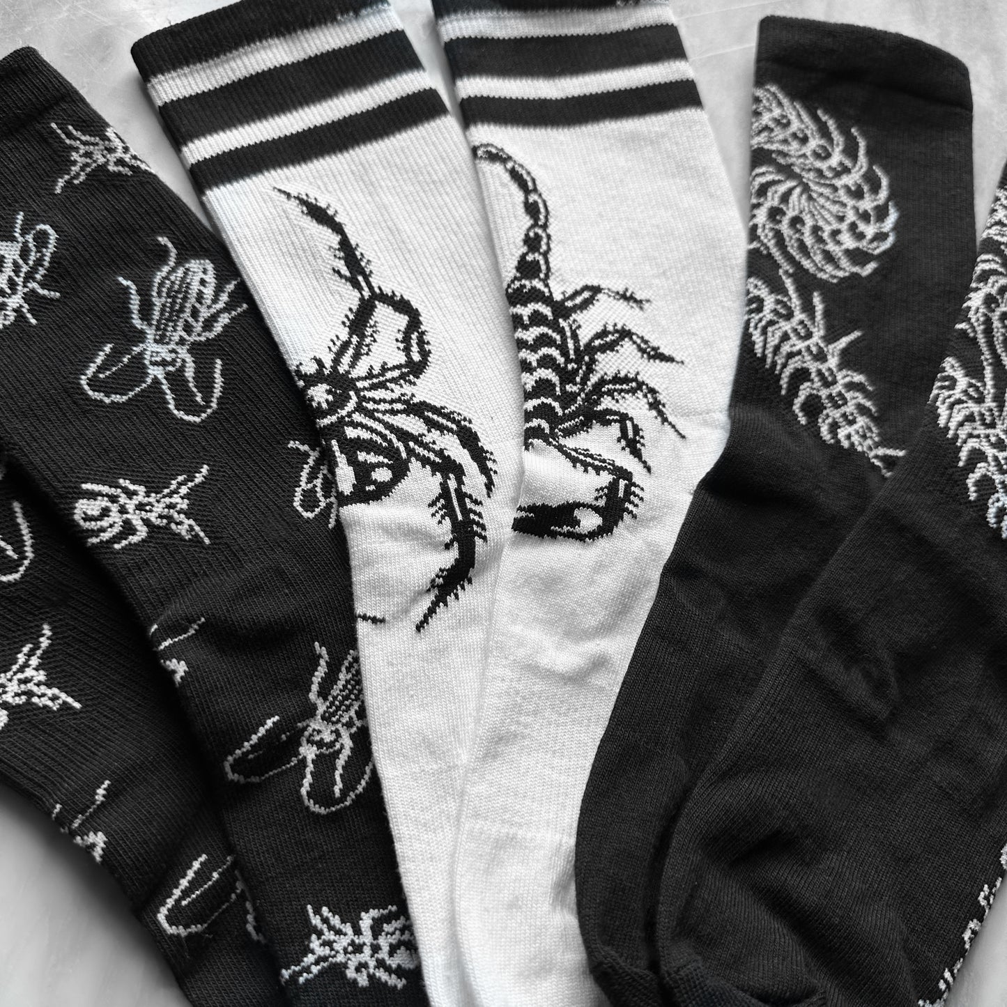 Bug Socks 3-Pack